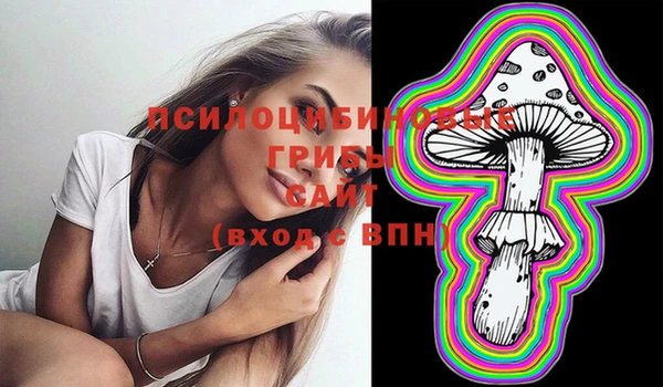 твердый Алексеевка