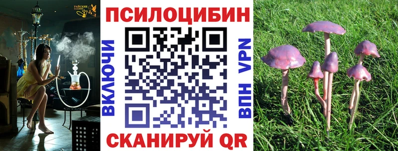Псилоцибиновые грибы прущие грибы  darknet формула  Шахты 